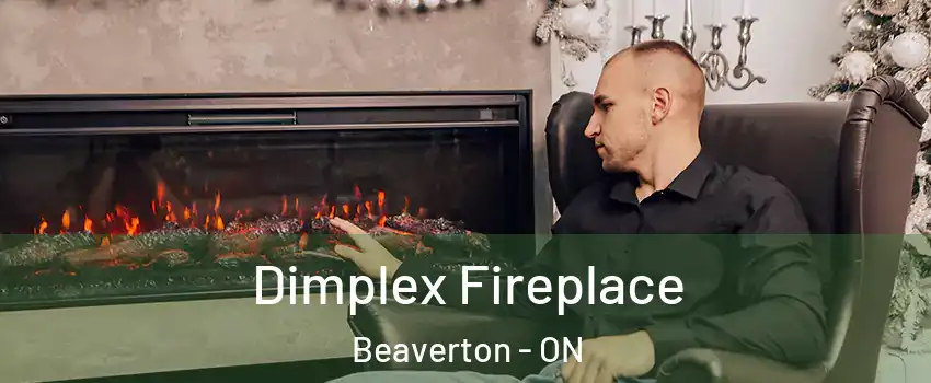  Dimplex Fireplace Beaverton - ON