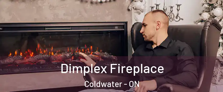  Dimplex Fireplace Coldwater - ON