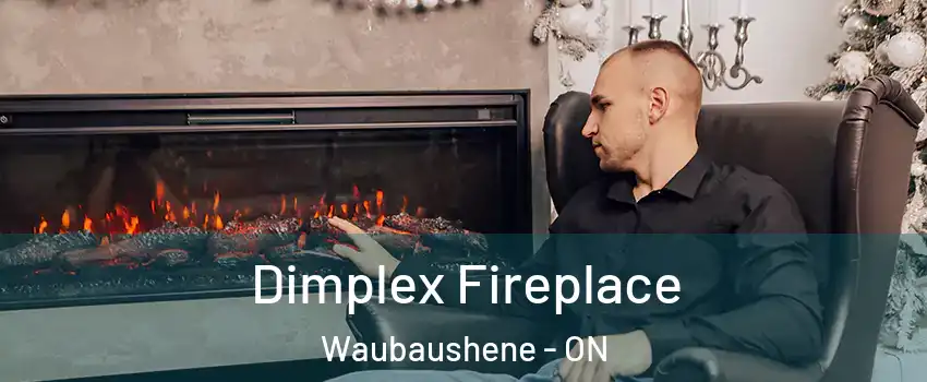 Dimplex Fireplace Waubaushene - ON