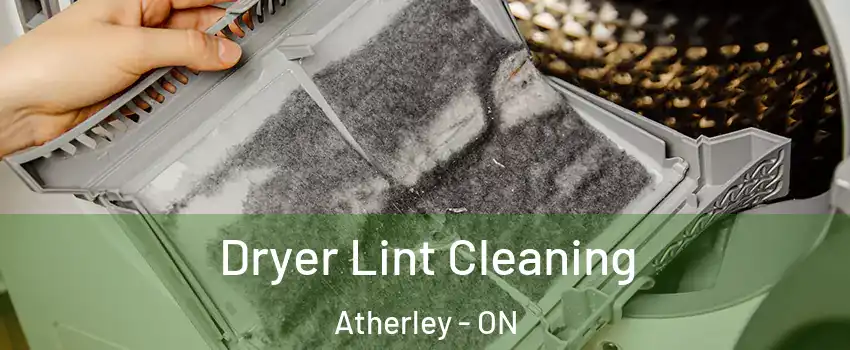  Dryer Lint Cleaning Atherley - ON