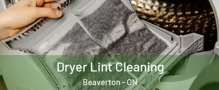  Dryer Lint Cleaning Beaverton - ON