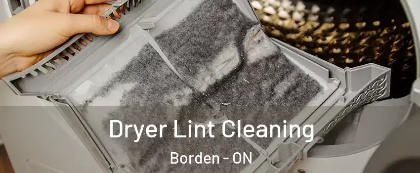  Dryer Lint Cleaning Borden - ON