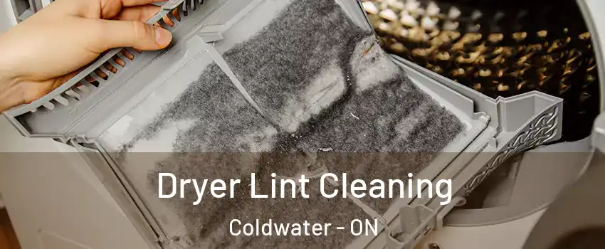  Dryer Lint Cleaning Coldwater - ON