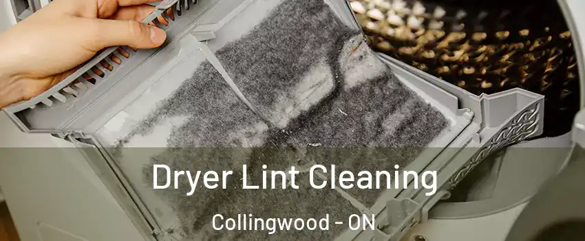  Dryer Lint Cleaning Collingwood - ON