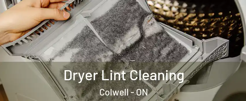  Dryer Lint Cleaning Colwell - ON