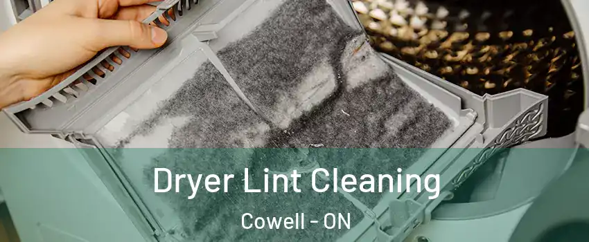  Dryer Lint Cleaning Cowell - ON