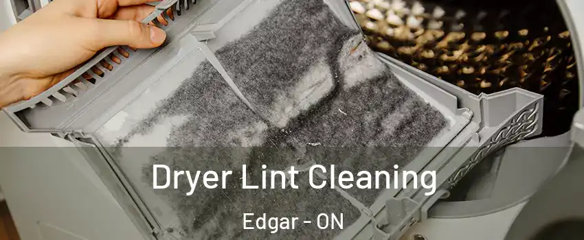  Dryer Lint Cleaning Edgar - ON
