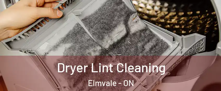  Dryer Lint Cleaning Elmvale - ON