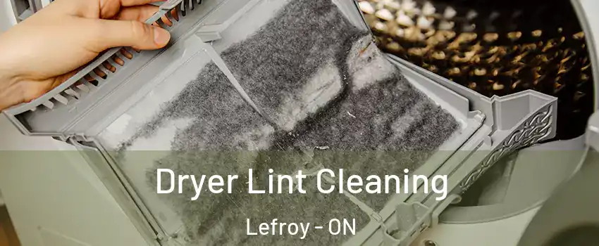  Dryer Lint Cleaning Lefroy - ON