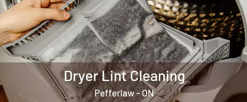  Dryer Lint Cleaning Pefferlaw - ON
