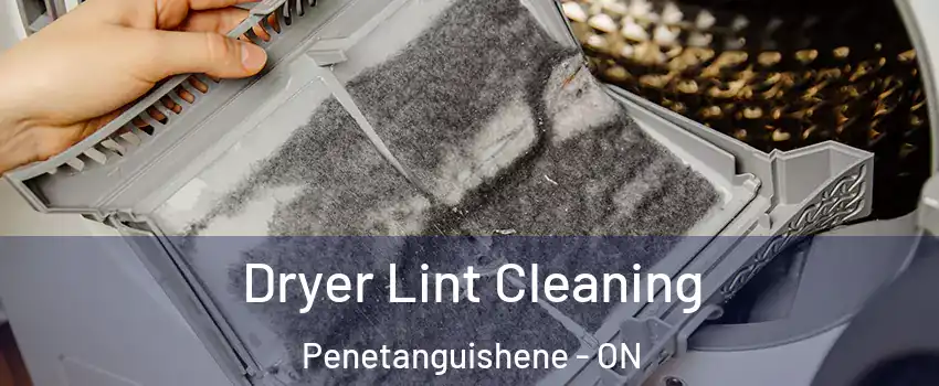  Dryer Lint Cleaning Penetanguishene - ON