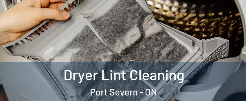  Dryer Lint Cleaning Port Severn - ON