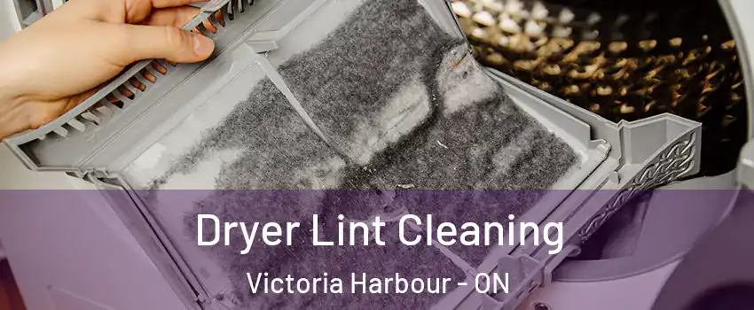  Dryer Lint Cleaning Victoria Harbour - ON