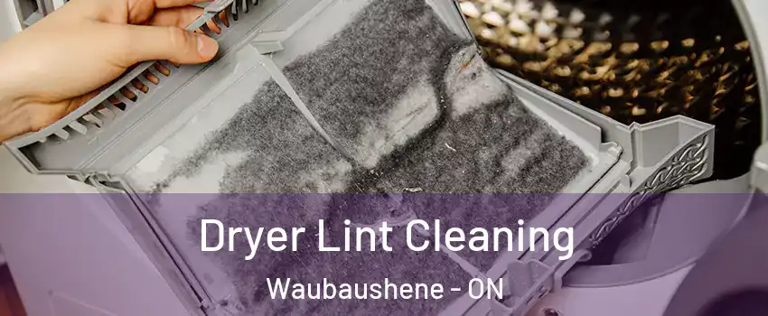 Dryer Lint Cleaning Waubaushene - ON