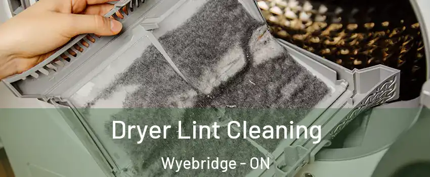  Dryer Lint Cleaning Wyebridge - ON