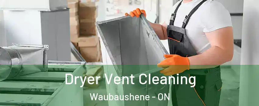  Dryer Vent Cleaning Waubaushene - ON