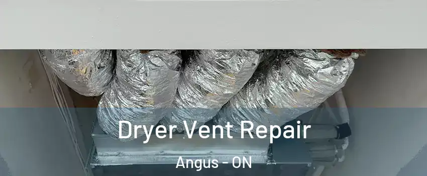  Dryer Vent Repair Angus - ON