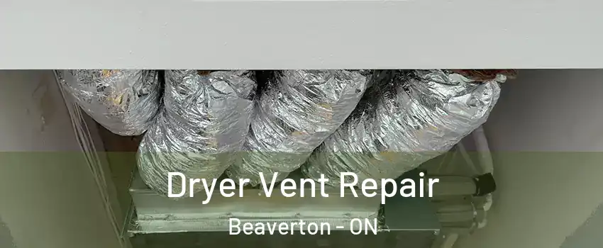  Dryer Vent Repair Beaverton - ON