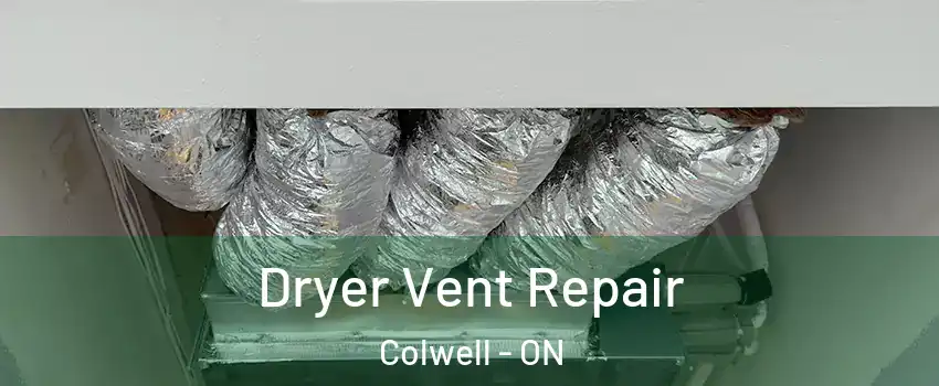  Dryer Vent Repair Colwell - ON