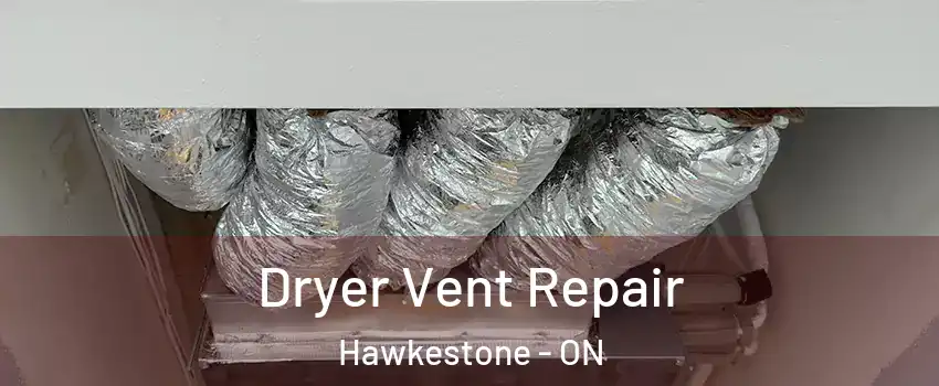  Dryer Vent Repair Hawkestone - ON
