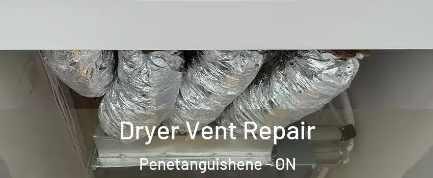  Dryer Vent Repair Penetanguishene - ON