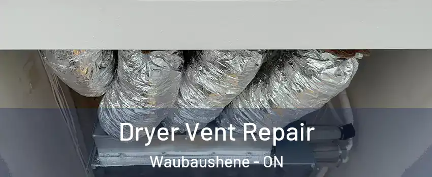  Dryer Vent Repair Waubaushene - ON