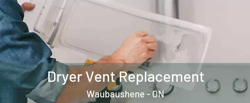  Dryer Vent Replacement Waubaushene - ON