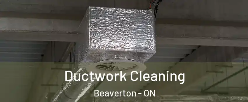  Ductwork Cleaning Beaverton - ON
