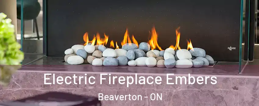  Electric Fireplace Embers Beaverton - ON