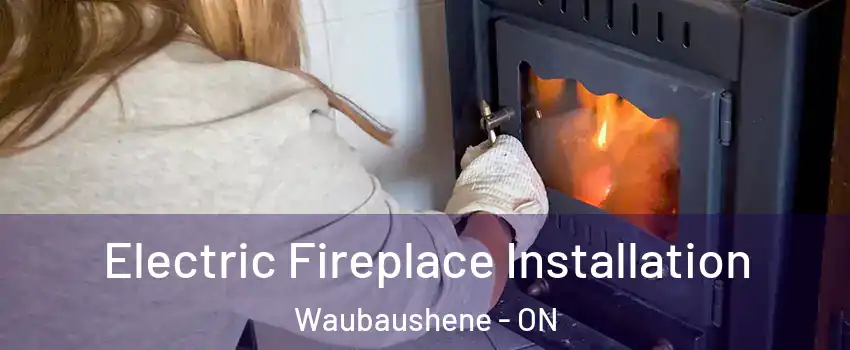  Electric Fireplace Installation Waubaushene - ON