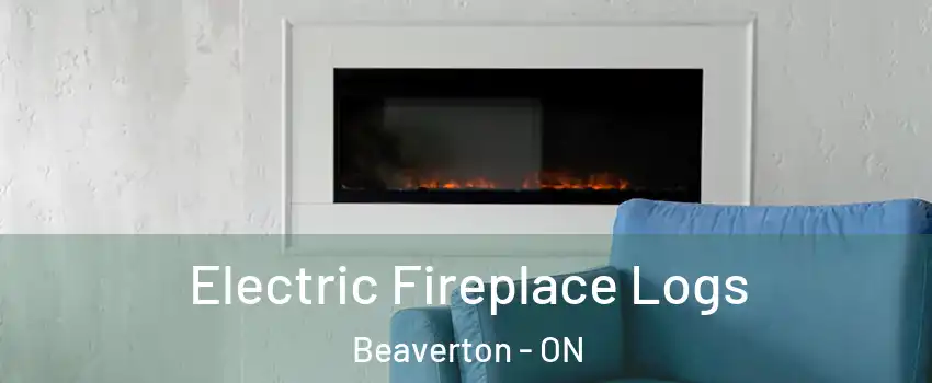  Electric Fireplace Logs Beaverton - ON