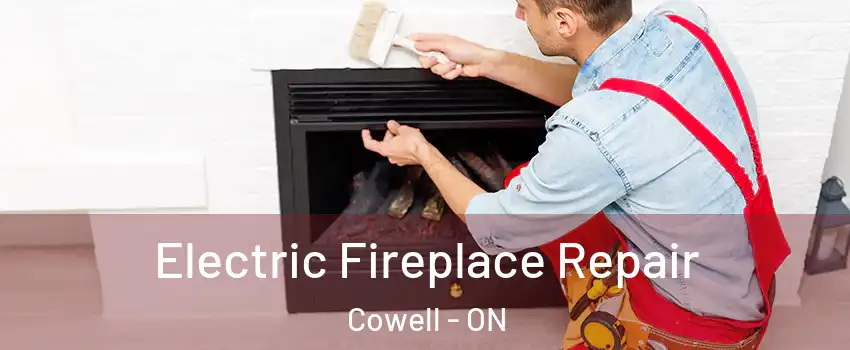  Electric Fireplace Repair Cowell - ON