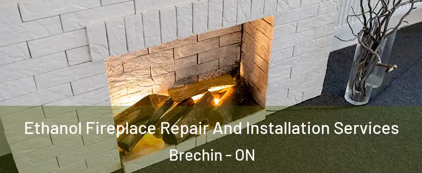  Ethanol Fireplace Repair And Installation Services Brechin - ON