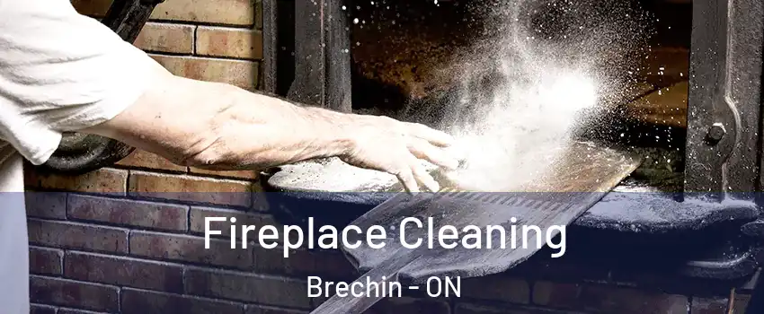  Fireplace Cleaning Brechin - ON
