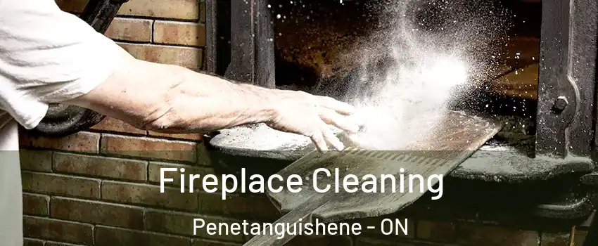  Fireplace Cleaning Penetanguishene - ON