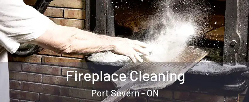  Fireplace Cleaning Port Severn - ON