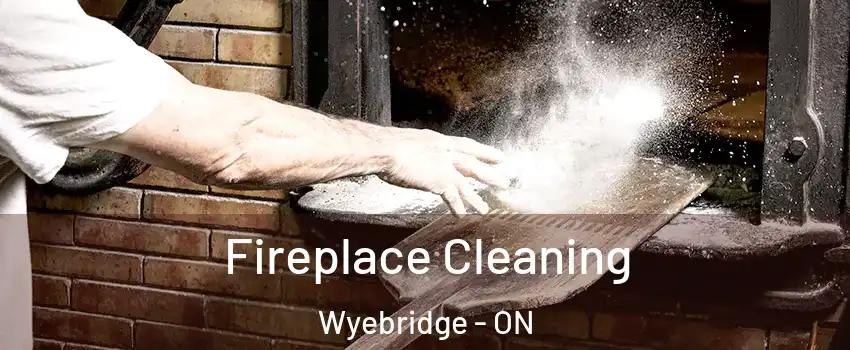 Fireplace Cleaning Wyebridge - ON