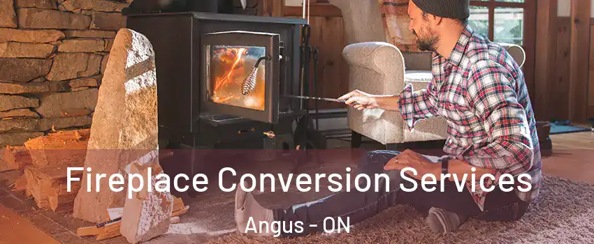  Fireplace Conversion Services Angus - ON