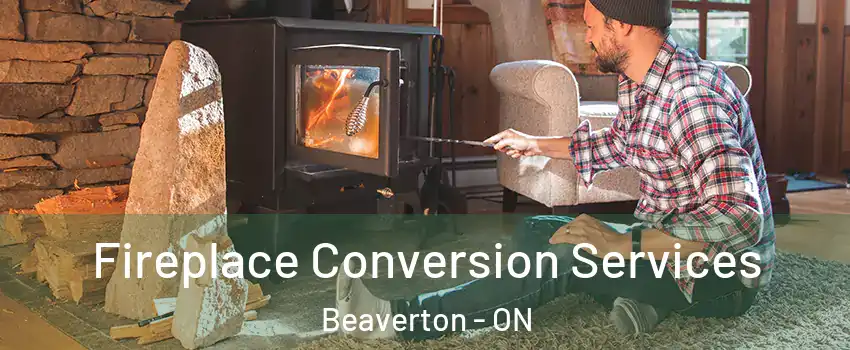  Fireplace Conversion Services Beaverton - ON
