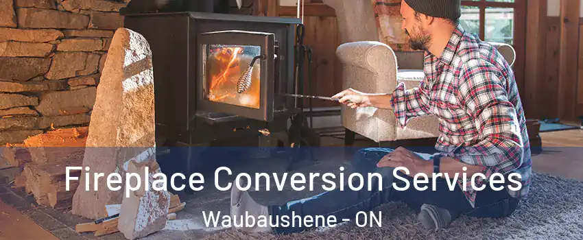  Fireplace Conversion Services Waubaushene - ON