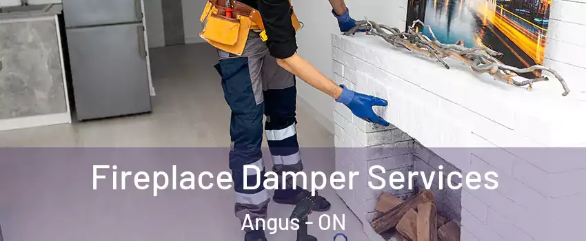 Fireplace Damper Services Angus - ON