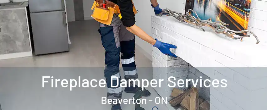 Fireplace Damper Services Beaverton - ON