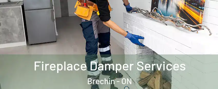  Fireplace Damper Services Brechin - ON