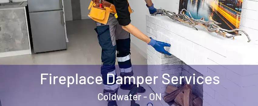 Fireplace Damper Services Coldwater - ON
