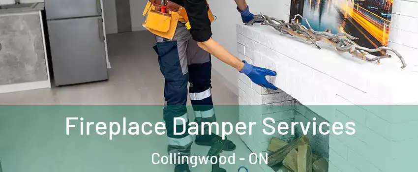  Fireplace Damper Services Collingwood - ON