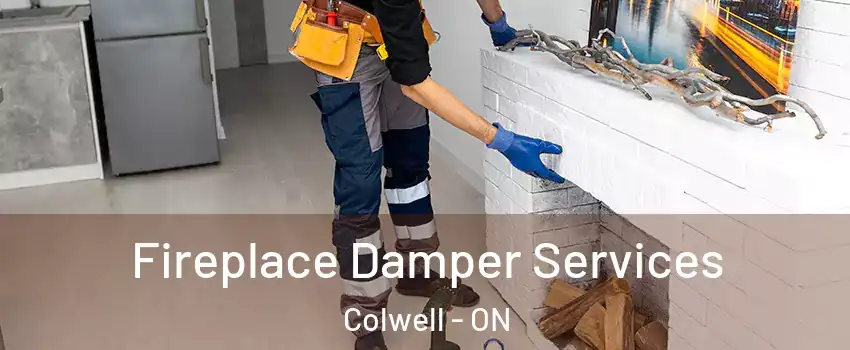Fireplace Damper Services Colwell - ON