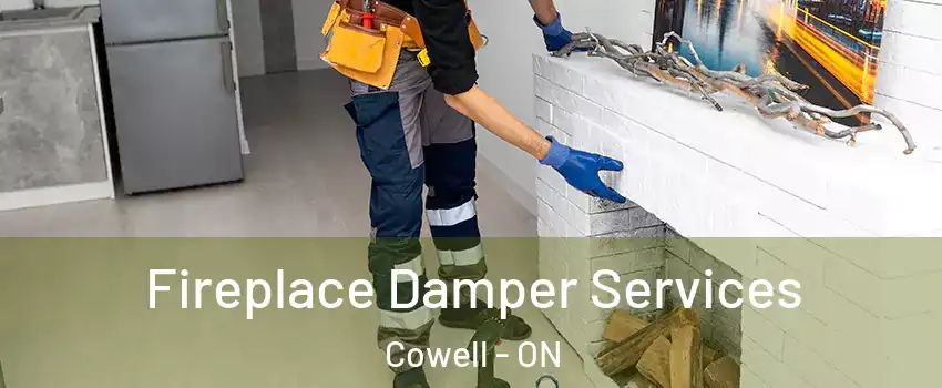  Fireplace Damper Services Cowell - ON
