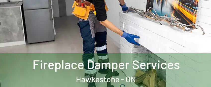  Fireplace Damper Services Hawkestone - ON
