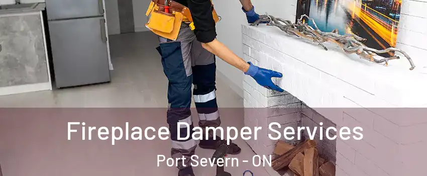  Fireplace Damper Services Port Severn - ON