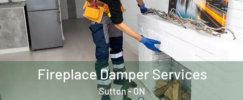  Fireplace Damper Services Sutton - ON